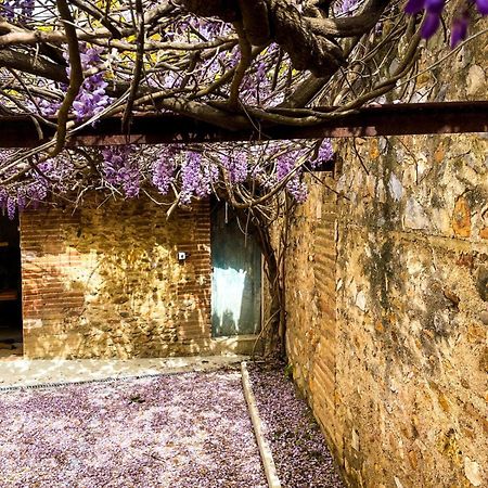 Gite De Charme Du Domaine Pagnon Guillemette Torreilles Εξωτερικό φωτογραφία
