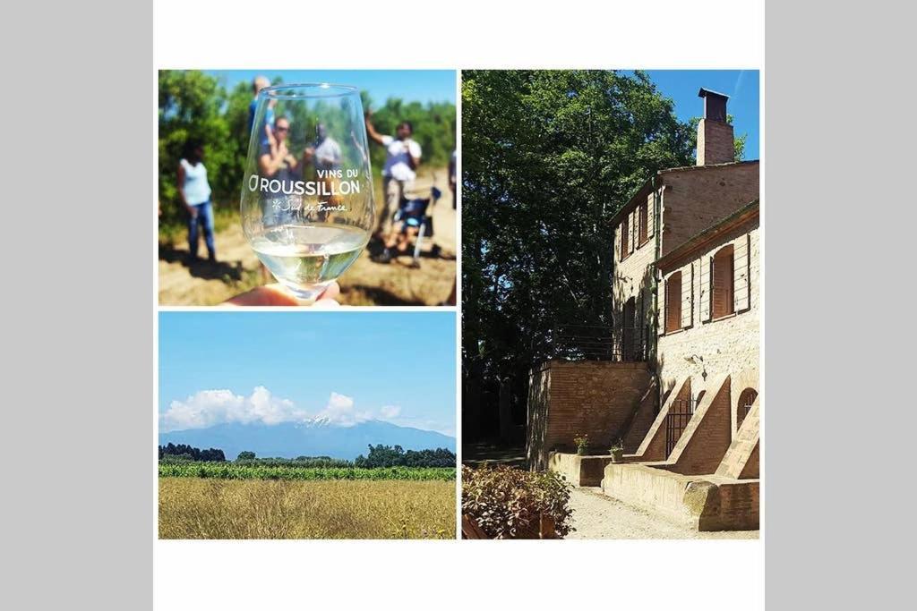 Gite De Charme Du Domaine Pagnon Guillemette Torreilles Εξωτερικό φωτογραφία