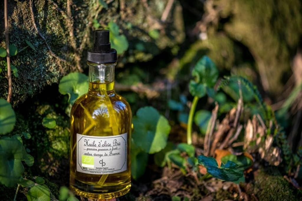Gite De Charme Du Domaine Pagnon Guillemette Torreilles Εξωτερικό φωτογραφία