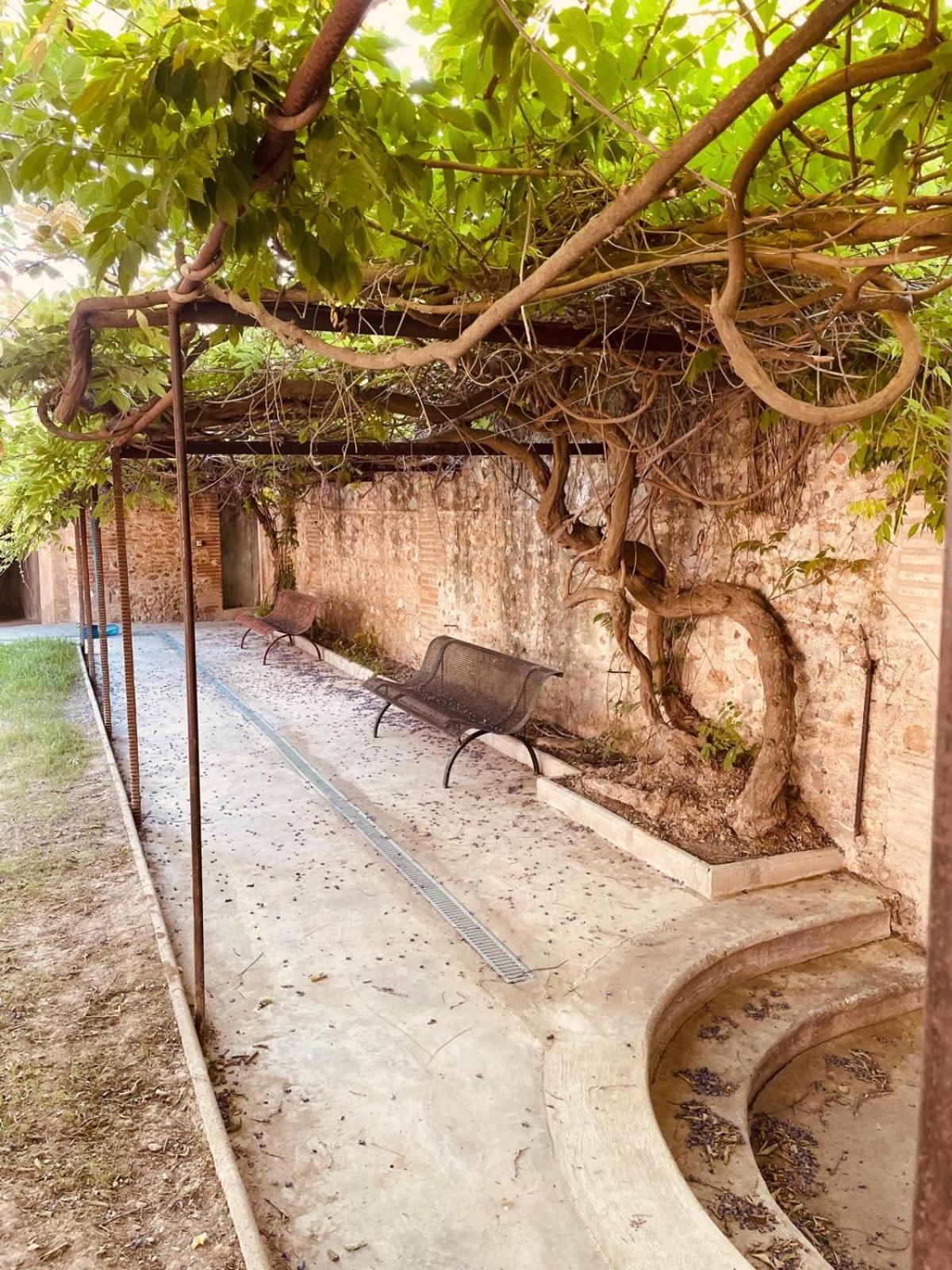 Gite De Charme Du Domaine Pagnon Guillemette Torreilles Εξωτερικό φωτογραφία